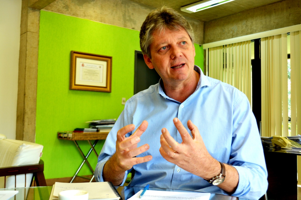 Avicultura de MS é destaque na balança nacional de exportações