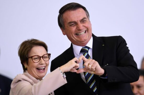Bolsonaro diz que 11 vão deixar o governo para disputarem eleições