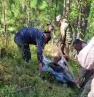 Mesmo gravemente ferido, urso ‘se vinga’ e mata caçador na Rússia