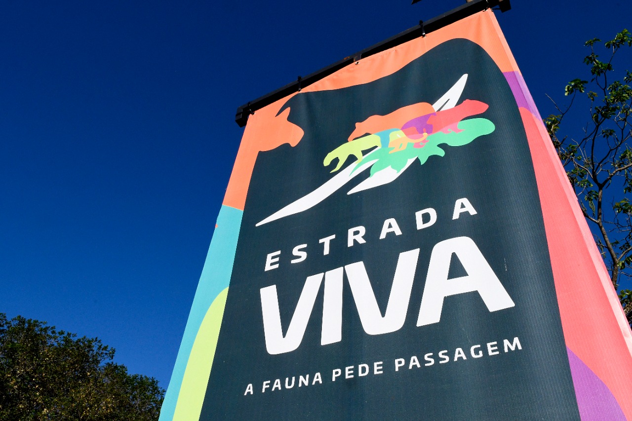 Pelo MS Digital, cidadão pode comunicar acidentes com animais nas rodovias estaduais