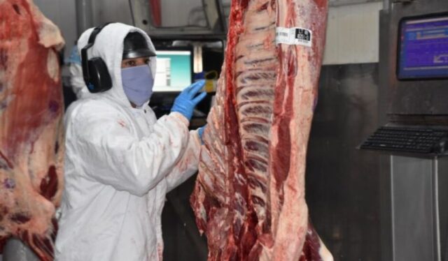 Exportação de carne bovina de MS cresce 47% no primeiro semestre