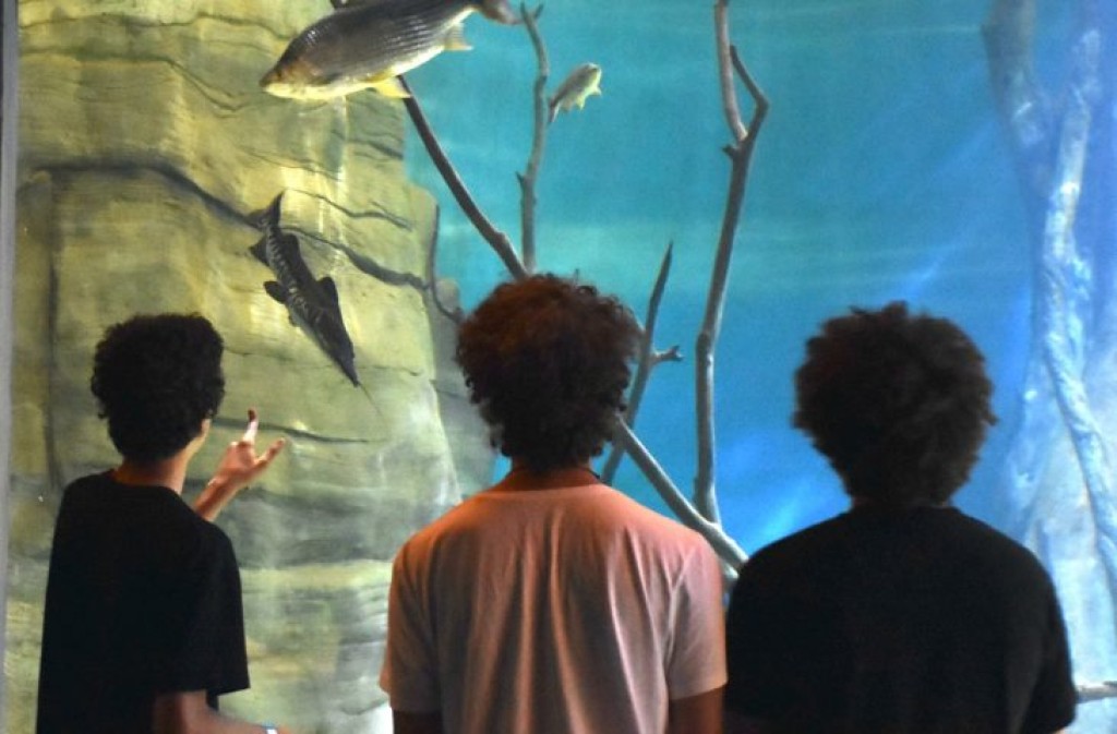 Bioparque Pantanal comemora marca de 100 mil visitantes
