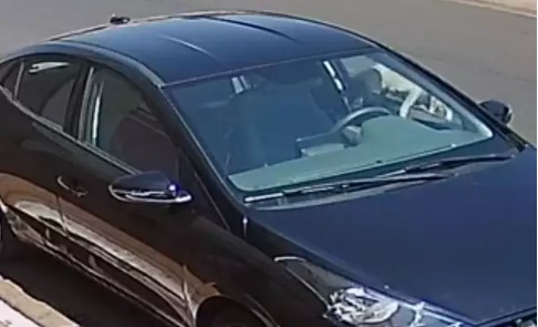 Vídeo: Cachorro ‘invade’ carro e ‘furta’ marmita de idoso