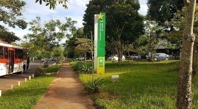 MS cria grupo técnico de enfrentamento à varíola dos macacos
