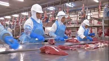 Exportação de industrializados tem em julho melhor resultado para o mês em MS