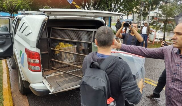 Polícia Civil apreende computadores e deixa prédio da prefeitura
