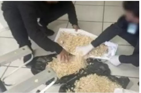 Vídeo: Hospital entrega caixão com serragem ao invés de corpo de bebê