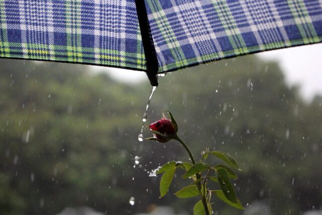 Estado segue com chuva em todas regiões