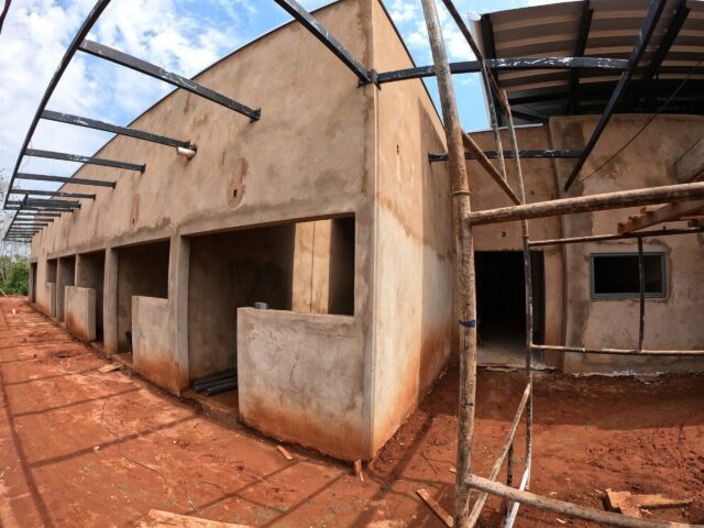 1º Centro de Reabilitação de Animais Silvestres do mundo será inaugurado em breve