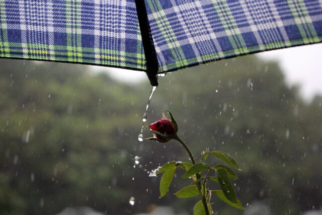 Quarta-feira tem previsão de chuva em todas as regiões do Estado, com possibilidade de tempestades isoladas