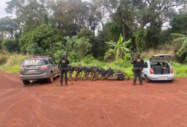 “Bikes do tráfico”: quase 700kg de maconha são apreendidos em mata