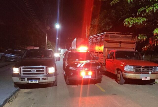 Operação termina com acusado de furtar cabeças de gado preso