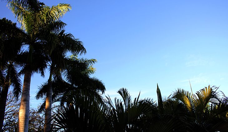 Segunda tem previsão de tempo estável, com aumento da temperatura em todo MS
