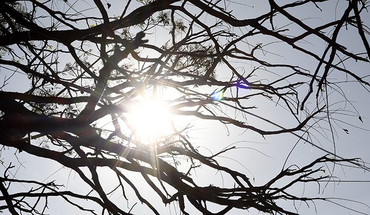 Sol forte e baixa umidade do ar são destaques do tempo nesta quinta-feira