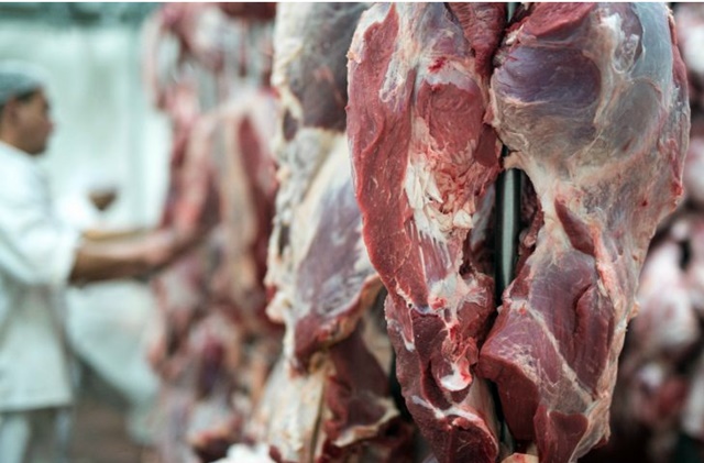 Retirada da vacina antiaftosa habilita MS a exportar carne ao México
