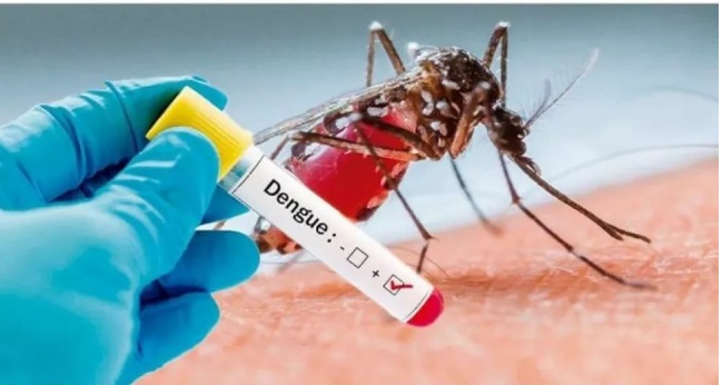 Dengue mata mais duas pessoas e MS chega a quase 8 mil casos no ano