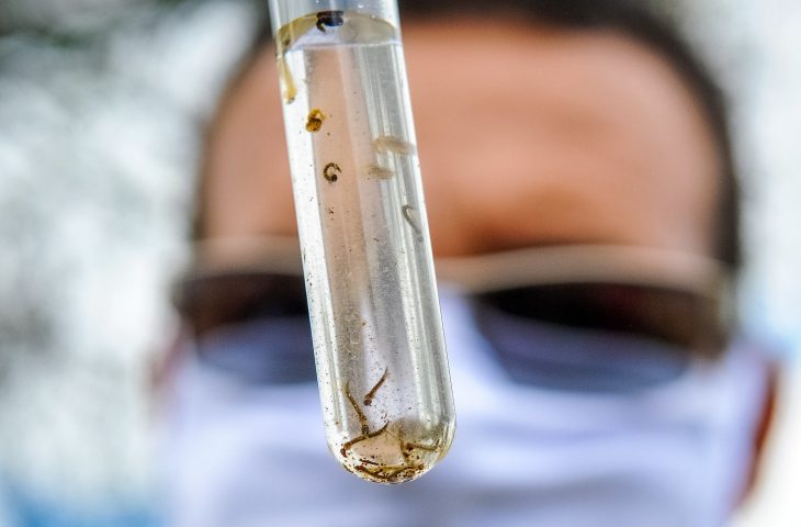MS registra 2 mil novos casos de dengue em apenas uma semana