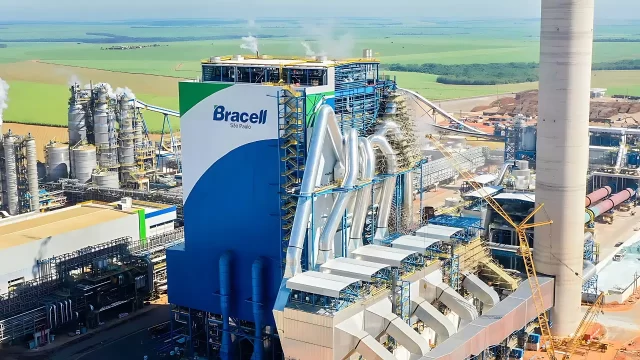 Bracell planeja nova fábrica em Bataguassu e MS pode se consolidar como ...