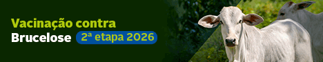 Governo Setembro 2026 2